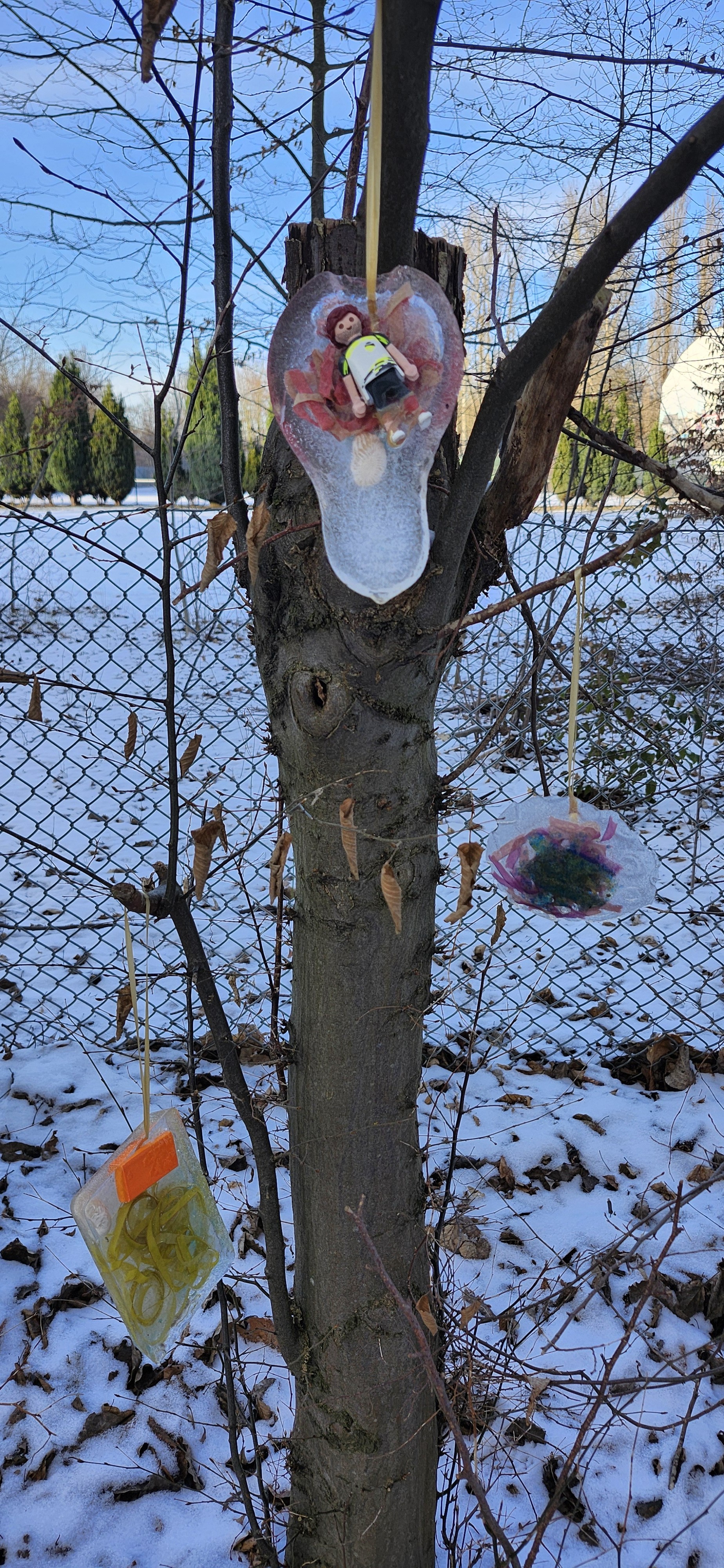 Mehrere Eis-Anh&auml;nger der Kinder h&auml;ngen an einem Baum